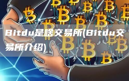 Bitdu是啥交易所 - Bitdu交易所介绍