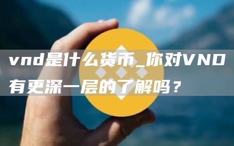 vnd是什么货币_你对VND有更深一层的了解吗？