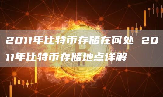 2011年比特币存储在何处 2011年比特币存储地点详解