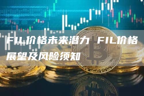 FIL价格未来潜力 FIL价格展望及风险须知