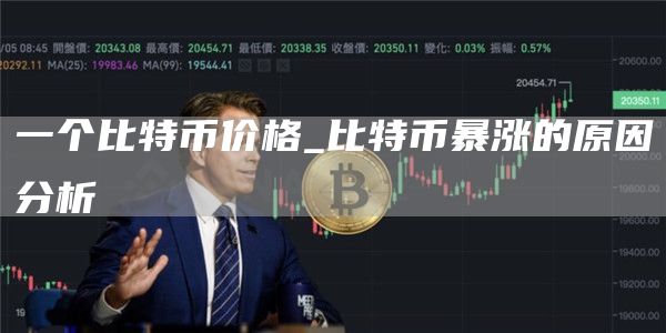 一个比特币价格_比特币暴涨的原因分析