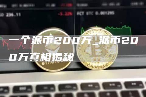 一个派币200万_派币200万真相揭秘