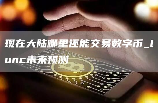 现在大陆哪里还能交易数字币_lunc未来预测