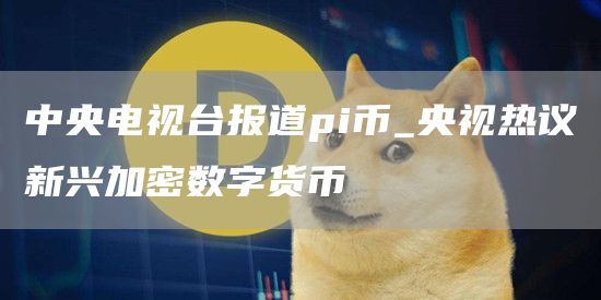 中央电视台报道pi币_央视热议新兴加密数字货币