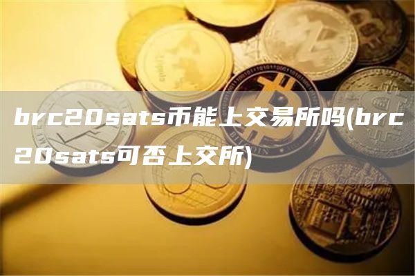brc20sats币能上交易所吗 - brc20sats可否上交所