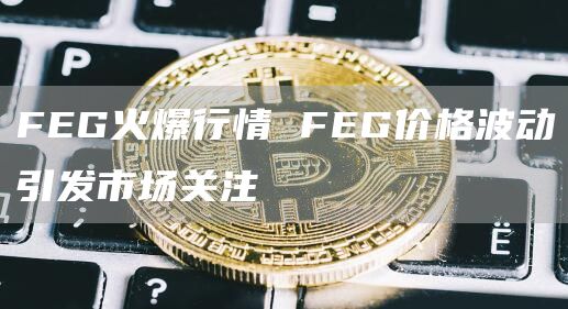 FG火爆行情 FG价格波动引发市场关注