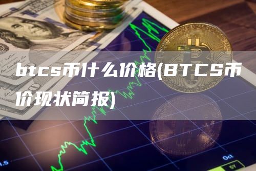 btcs币什么价格 - BTCS币价现状简报