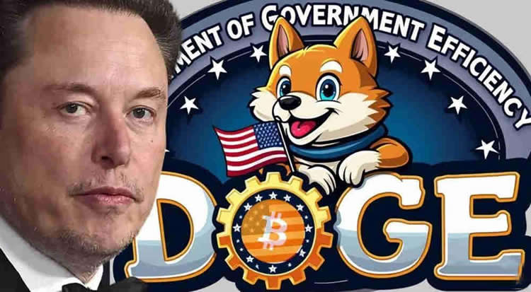 DOGE币是什么 Department of Government Efficiency能买吗-第1张图片-欧意易易下载