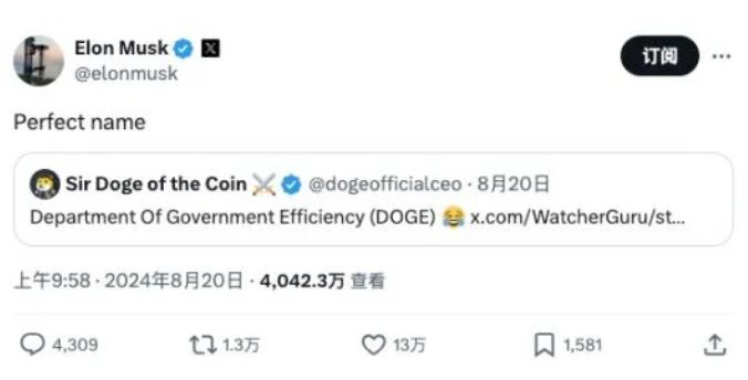 DOGE币是什么 Department of Government Efficiency能买吗-第6张图片-欧意易易下载
