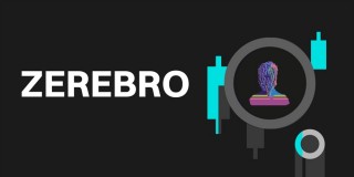 ZEREBRO币是什么币 未来前景如何?价格走势怎么样