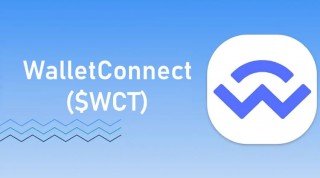 WCT币是什么 用途是什么