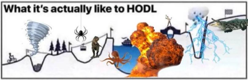 10万美元一枚，普通人到底如何才能拿住比特币？-第5张图片-欧意易易下载