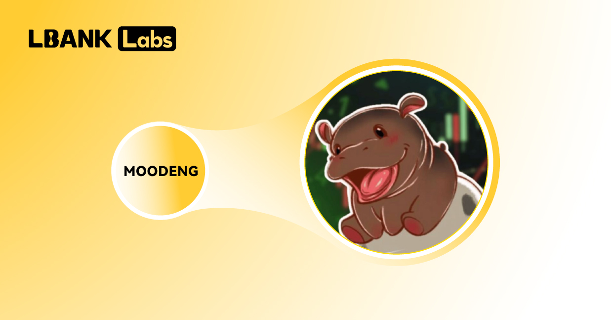 LBank Labs：盘点2024年10大热门Meme币-第12张图片-欧意易易下载