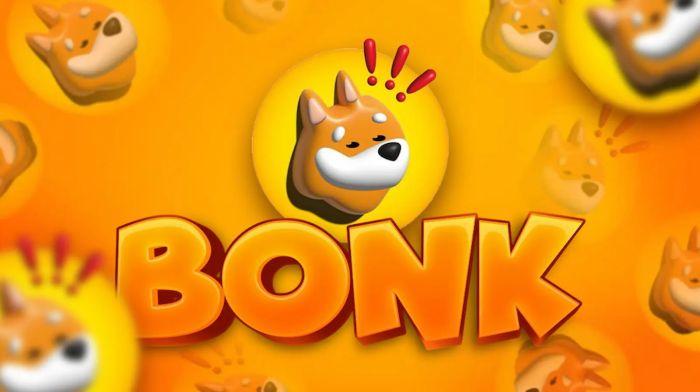 BONK币是什么 BONK币值得购买吗-第1张图片-欧意易易下载