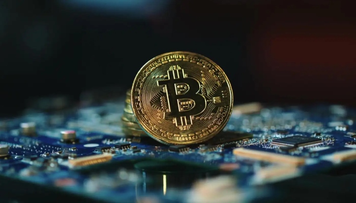 bonk币是什么币 bonk币能否成为千倍长持币-第3张图片-欧意易易下载